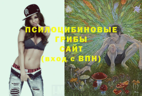 jwh Алзамай