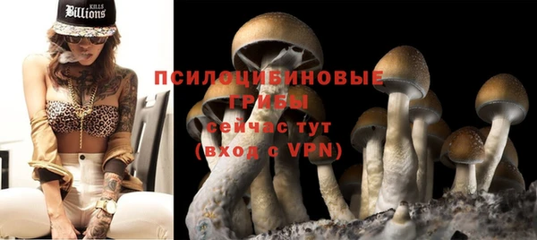 эйфоретик Алексин