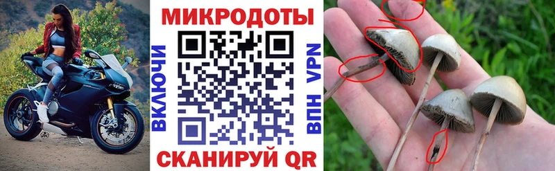 Псилоцибиновые грибы ЛСД darknet наркотические препараты Еманжелинск купить закладку KRAKEN tor